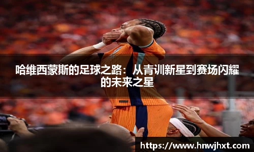 米兰官网